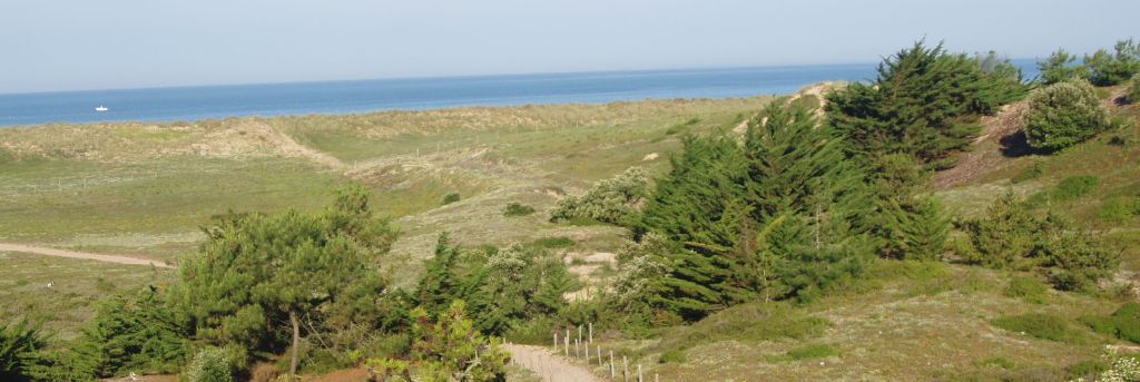 Dünenlandschaft in der Vendee